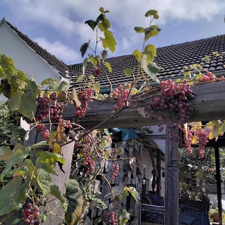 Gemuetlichkeit Am Vierkanthof - Apartment 1 Worterberg 외부 사진